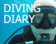Diving Diary